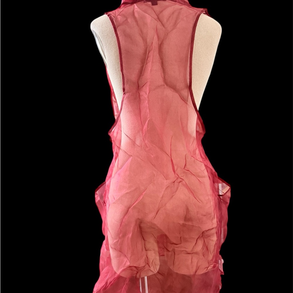 Luna Luz Silk Organza Sheer Deep Set Tunic Dress NWOT Sz S - Picture 10 of 10